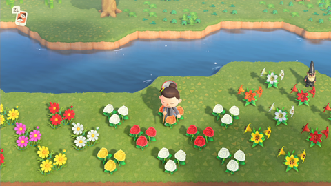 Animal Crossing New Horizons, les fleurs : variétés, prix, comment en prendre soin… tout ce qu'il faut savoir