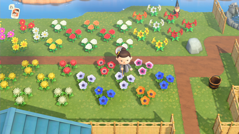 Animal Crossing New Horizons, les fleurs : variétés, prix, comment en prendre soin… tout ce qu'il faut savoir