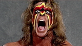 WWE 2K15 : Le DLC Path of the Warrior