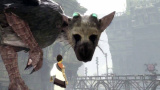 The Last Guardian : L'univers enchanteur se dévoile avec de nouveaux visuels
