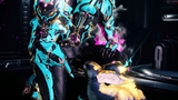 Kavats