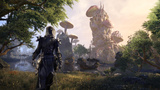 The Elder Scrolls Online : Morrowind - Un retour nostalgique très attendu