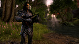 Altmer (Haut Elfe)