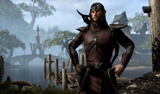 Bosmer (Elfes des bois)