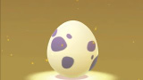 Oeufs rares (10,0 km)