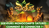 Dofus : serveurs monocompte saturés, connexion impossible... Comment jouer malgré les problèmes de lancement ?