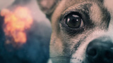 God of War : il est temps de lâcher les chiens