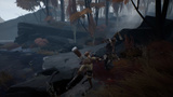 Ashen : un exemple de coopération