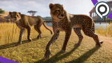 Planet Zoo impressionne par son mélange réussi entre création et gestion de parc - gamescom 2019