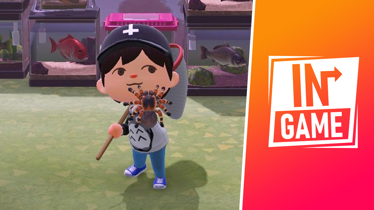Animal Crossing et ses étranges apparitions de tarentules