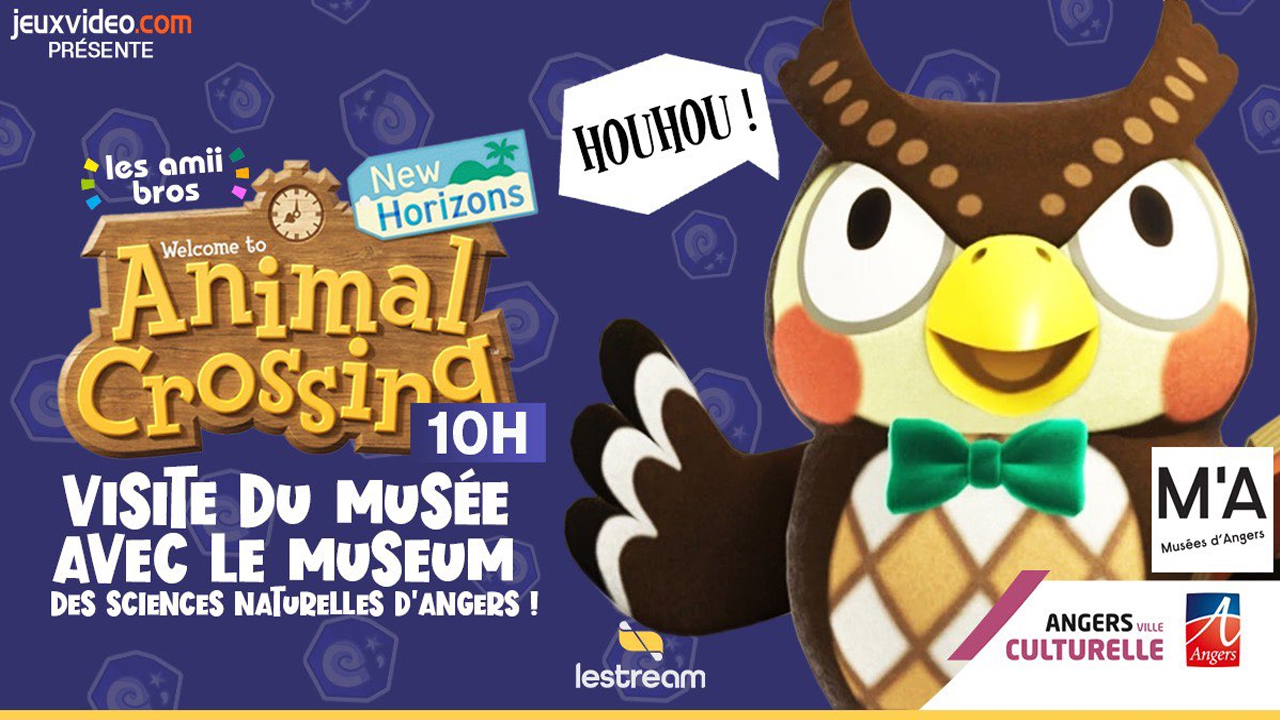 Animal Crossing New Horizons : une visite guidée spéciale du musée à découvrir en live dans le Lunch Play