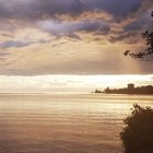 Avatar de -_Framboise_-