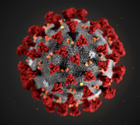 Avatar de [-Coronavirus-]