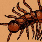 Avatar de 1006SousMerde