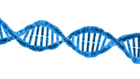 Avatar de 48Chromosomes