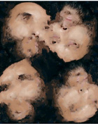 Avatar de 7_lettres