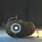 Avatar de [[B0T]GLaDOS