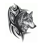 Avatar de -ALPHA-DX