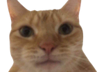 Avatar de -ArbuckleJon-