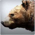 4bear