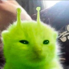 Avatar de [GoogleChrome]