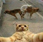 Avatar de [hammett4ever]