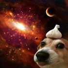 Avatar de -Ignatius-