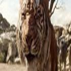 Avatar de [Jv]Sherkan