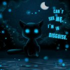 -kittycat-