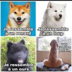 _Modokiller_