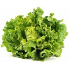 Avatar de [Salade_Verte]