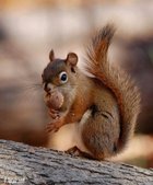 Avatar de aaargh_fan