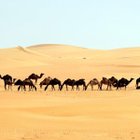 Avatar de Aaayahient