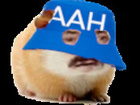 Avatar de AAHCuratelle