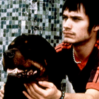 Avatar de AmoursChiens