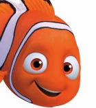 Avatar de Amphiprioninae