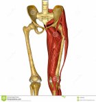 Avatar de AnatMembInfUE8