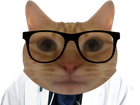 Avatar de AnatoleDaSilva