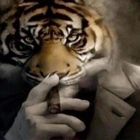 Avatar de AnusAutoritaire