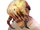 Avatar de AnusMaudit