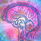 Avatar de Apperception