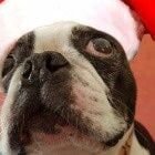 Avatar de Arbreenbois01