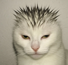 Avatar de Asphaltheure