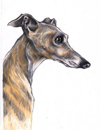 Avatar de Aurdinaire-