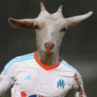 Avatar de B_Chevrou
