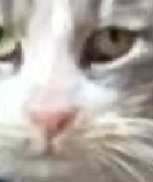 Avatar de BALKANGlGACHAD