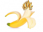 Avatar de Bananefurieuse
