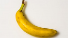 Avatar de bananendepit