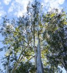 Avatar de BaukePrime