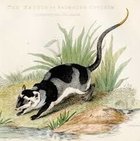 Avatar de BipolaireYapock